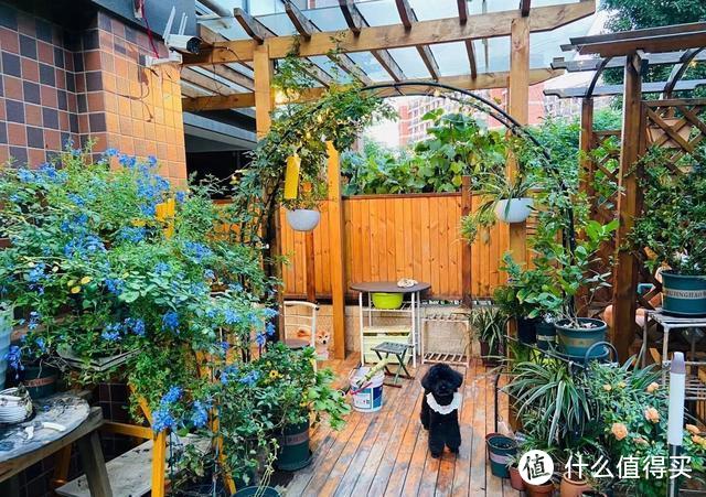 花30000元将庭院变“网红打卡地”,房子增值30万,都说太值了