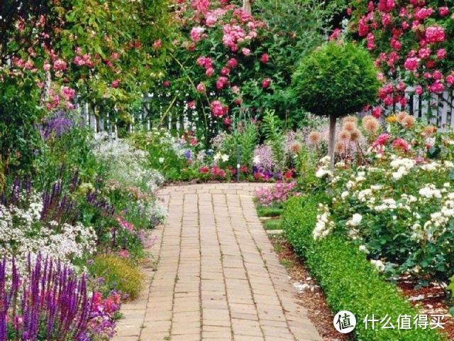 再喜欢这6种花,也不能种进院子,惹家人埋怨不说,还会得罪邻居